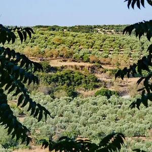 Сasa de vacaciones La Alegria De Cuevas España